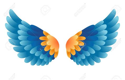 bird wing clipart